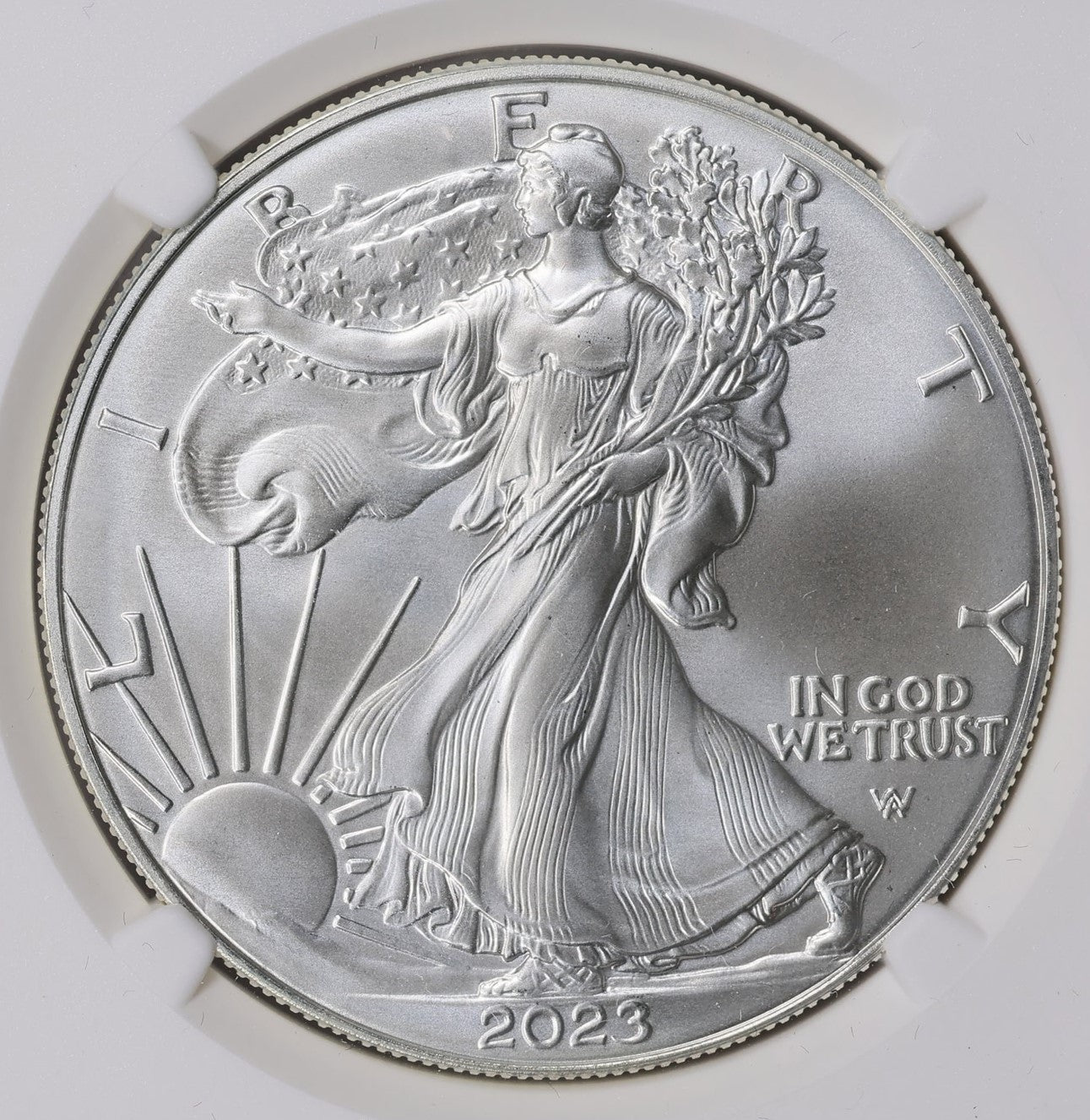 2023 $1 American Silver Eagle NGC MS70 Business Strike Brown Label