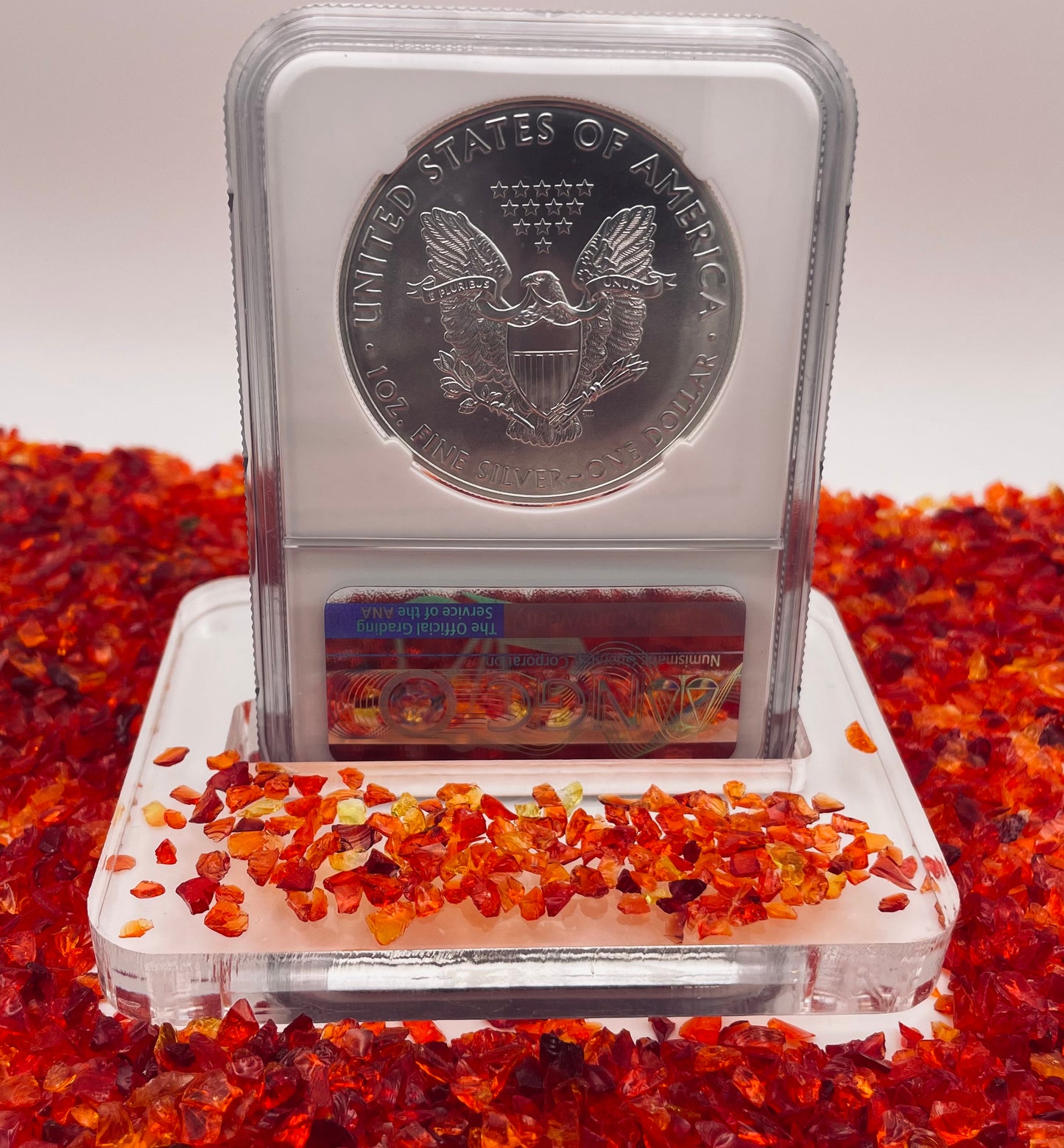 2021 $1 American Silver Eagle NGC MS70 Type 1 First Day of Issue Eagle Label Mint Condition (1 of 38,508)