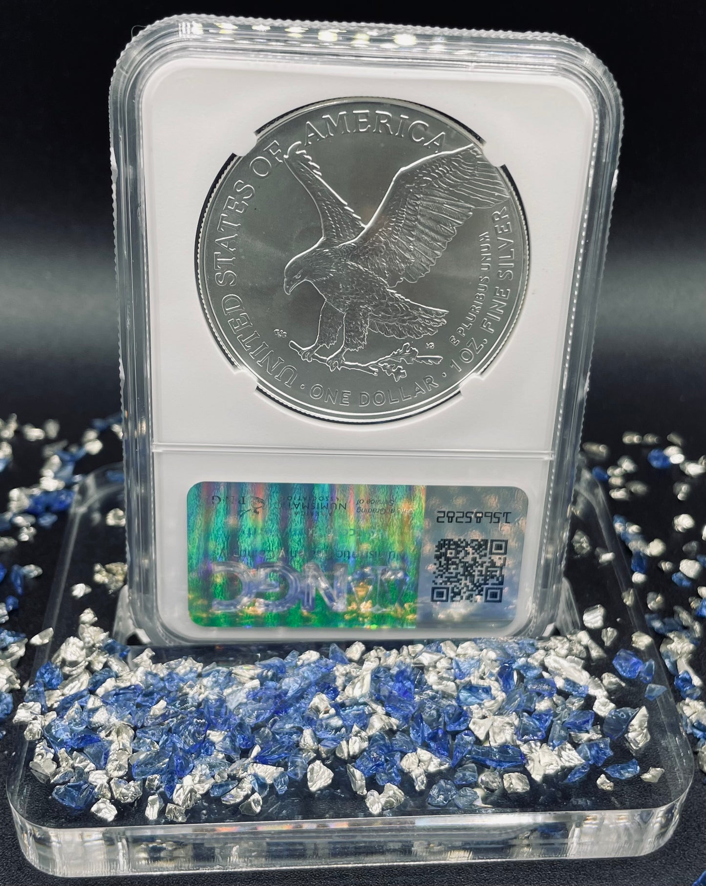 2024 $1 American Silver Eagle NGC MS70 Business Strike Brown Label