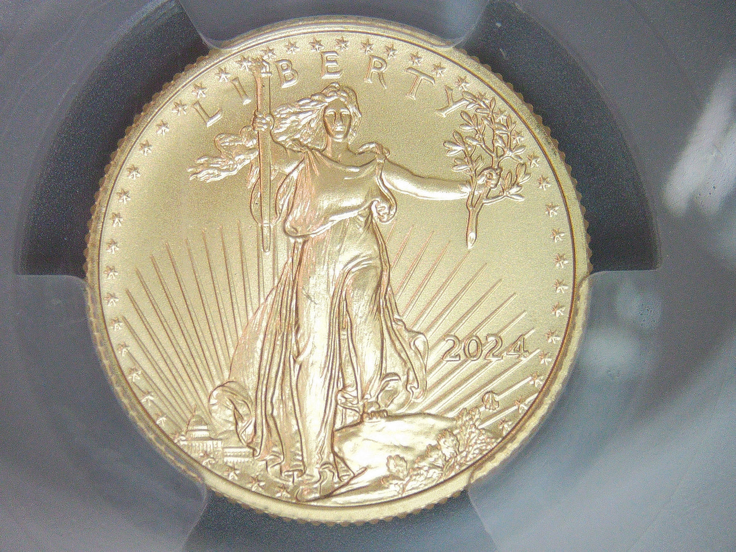 2024 $10 American Gold Eagle PCGS MS69 First Strike Flag Label (Rare 1 of 58)