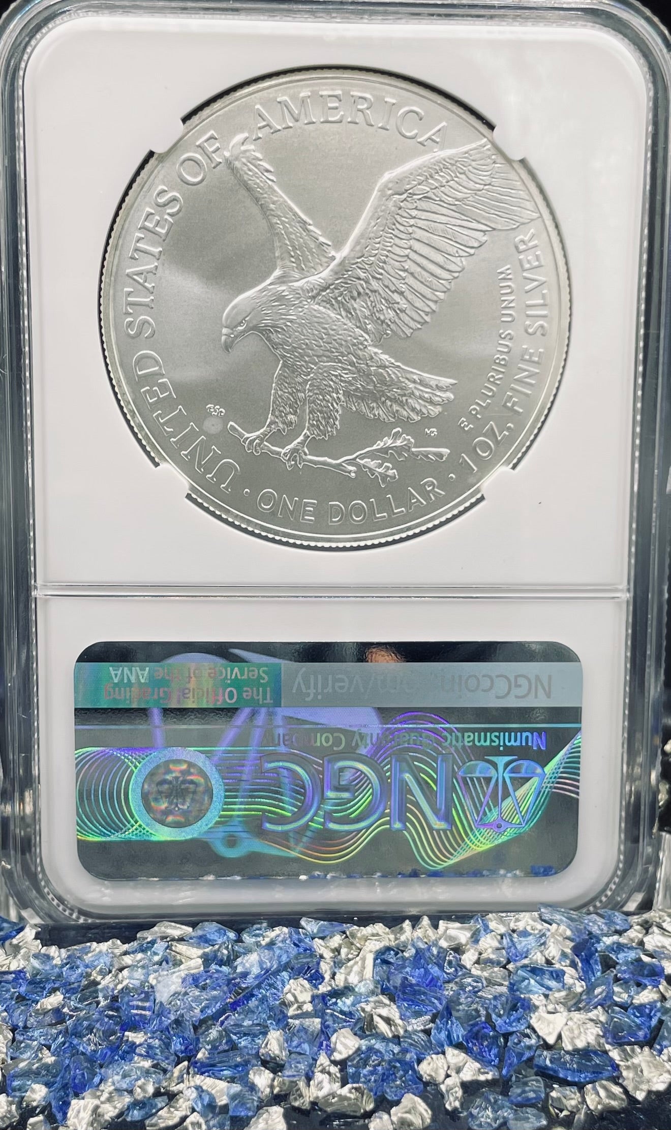 2023 $1 American Silver Eagle NGC MS70 Business Strike Brown Label