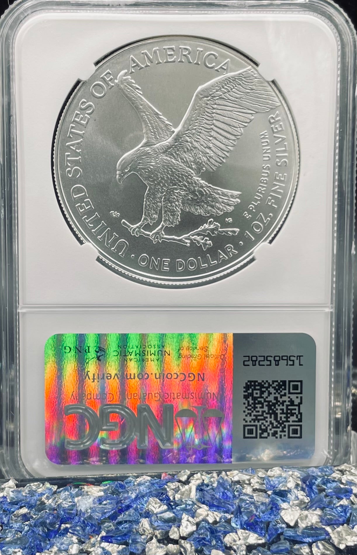 2024 $1 American Silver Eagle NGC MS70 Business Strike Brown Label