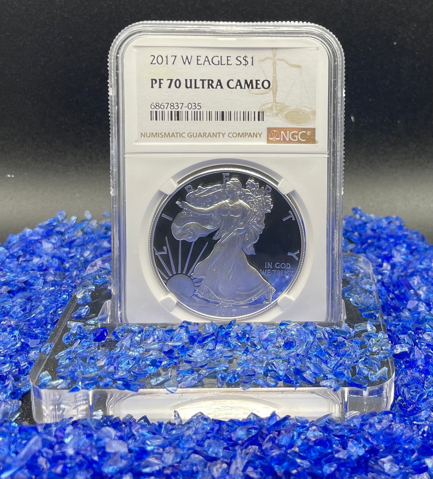 Proof 2017 (W) $1 American Silver Eagle NGC PF70 Modern Brown Label Mint Condition (1 of 4,190)