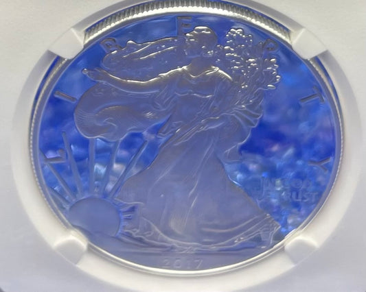 Proof 2017 (W) $1 American Silver Eagle NGC PF70 Modern Brown Label Mint Condition (1 of 4,190)