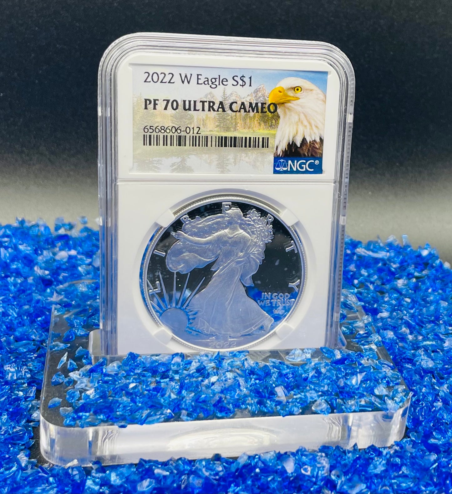Proof 2022 (W) $1 American Silver Eagle NGC PF70 Eagle Mountain Label (1 of 5,895)