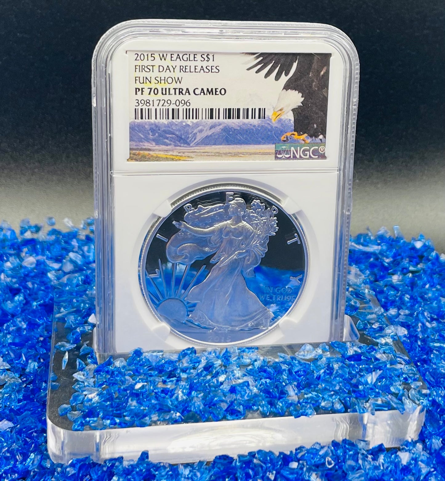 Proof 2015 (W) $1 American Silver Eagle NGC PF70 Fun Show Releases Eagle Mountain Label #372 (1 of 4,365)