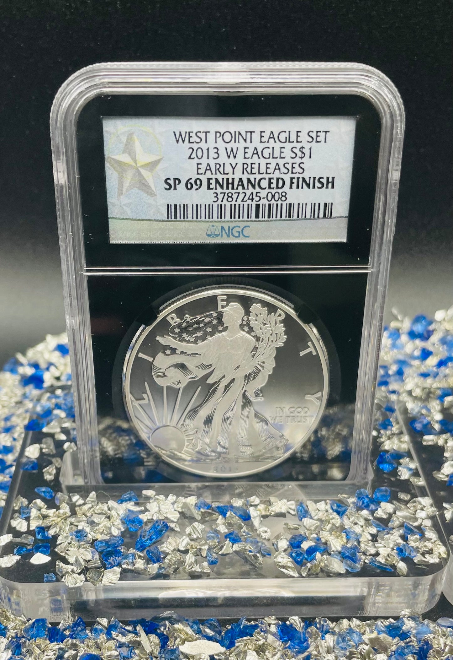 Reverse Proof & Enhanced Finish (2 Coin Set) 2013 (W) $1 American Silver Eagle NGC PF69 Black Core Holder West Point Silver Star Label