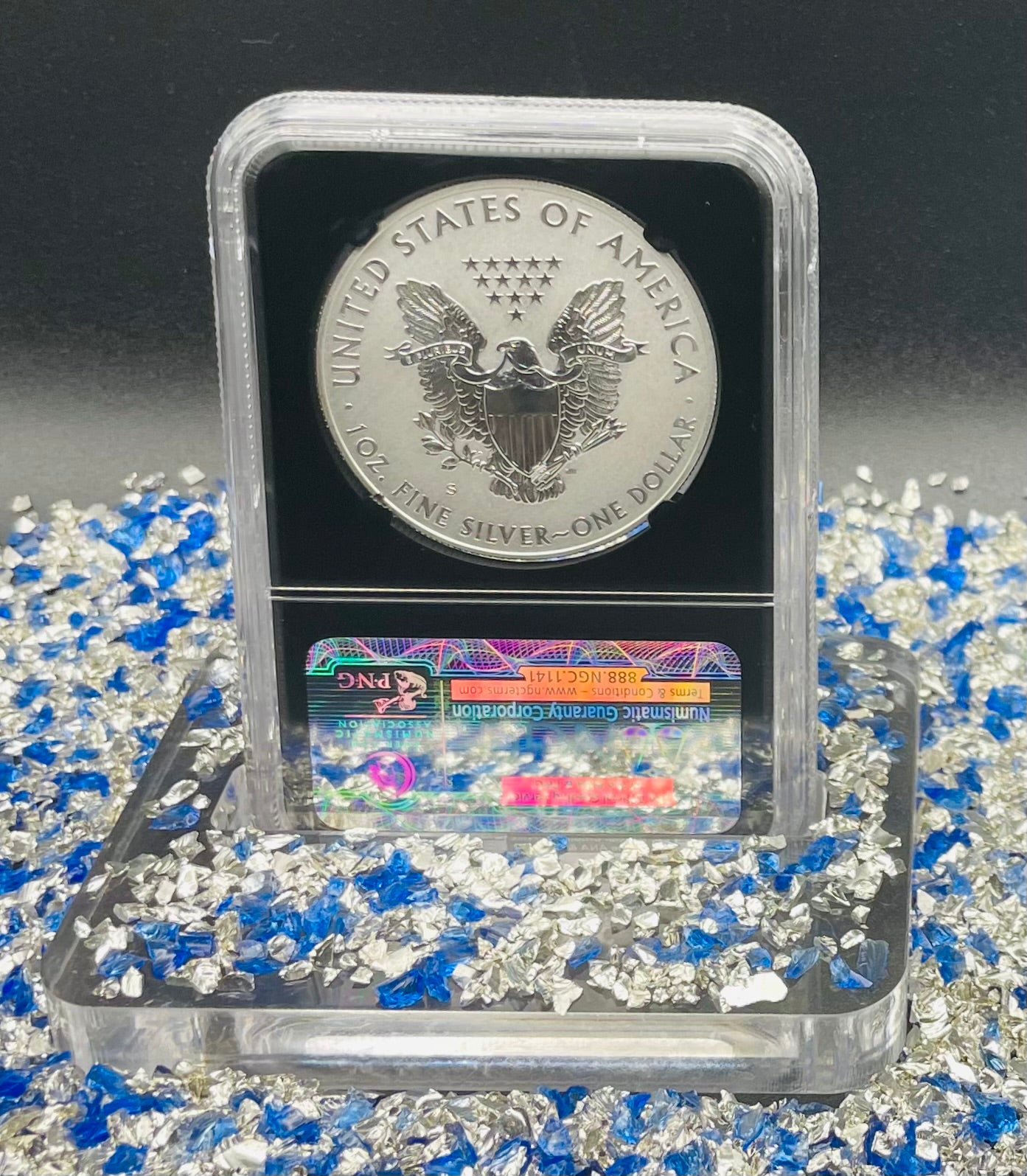 Reverse Proof 2012 (S) $1 American Silver Eagle NGC PF69 Black Core Holder Mint Condition (1 of 11,780)