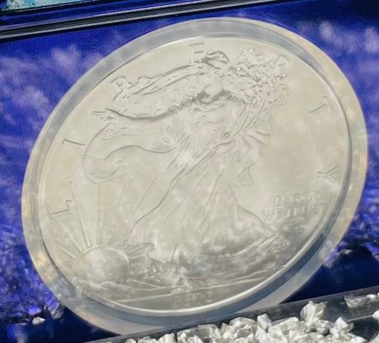2015 $1 American Silver Eagle NGC MS70 Rare Purple Holder Trader Bea Private Issue