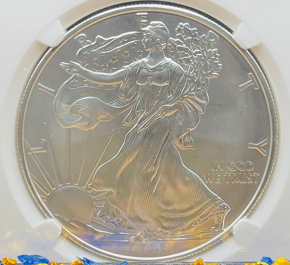 Burnished 2020 (W) $1 American Silver Eagle NGC MS70 West Point Gold Star Label Mint Condition (1 of 5,460)
