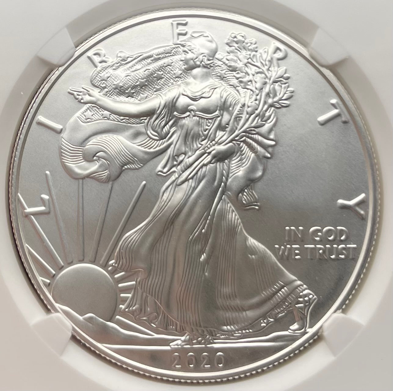 Burnished 2020 (W) $1 American Silver Eagle NGC MS70 West Point Gold Star Label Mint Condition (1 of 5,460)