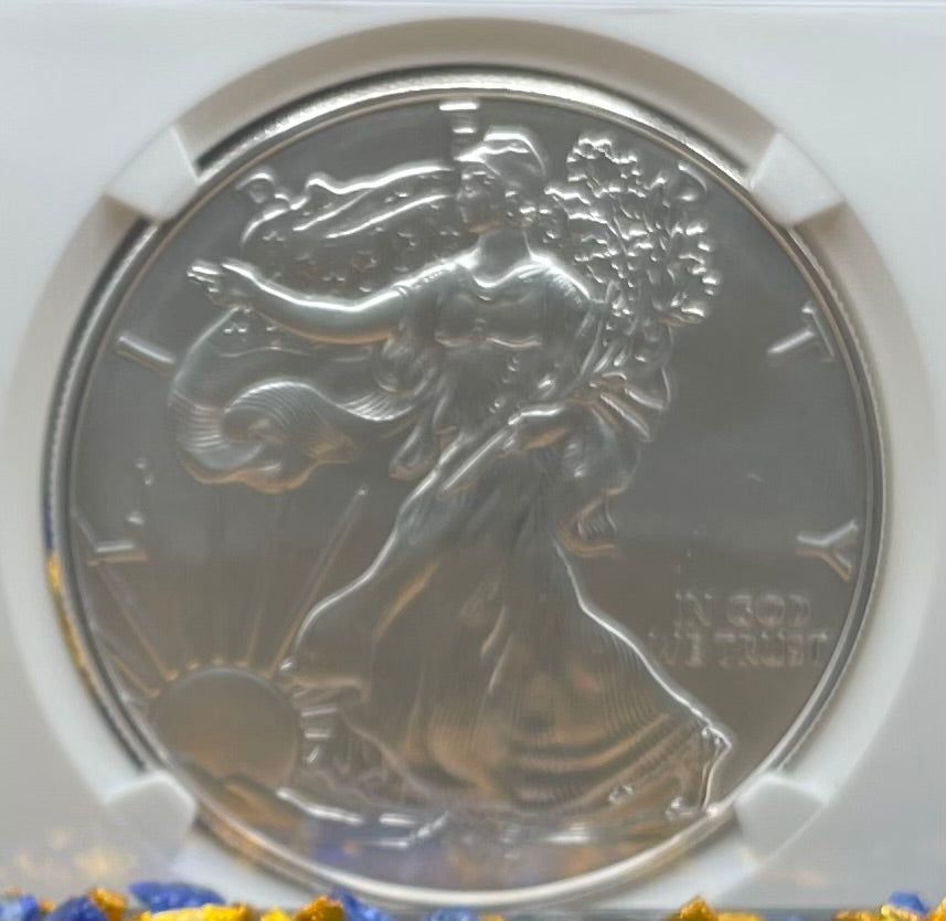 Burnished 2017 (W) $1 American Silver Eagle NGC MS70 Early Releases West Point Gold Star Label Mint Condition (1 of 4,466)