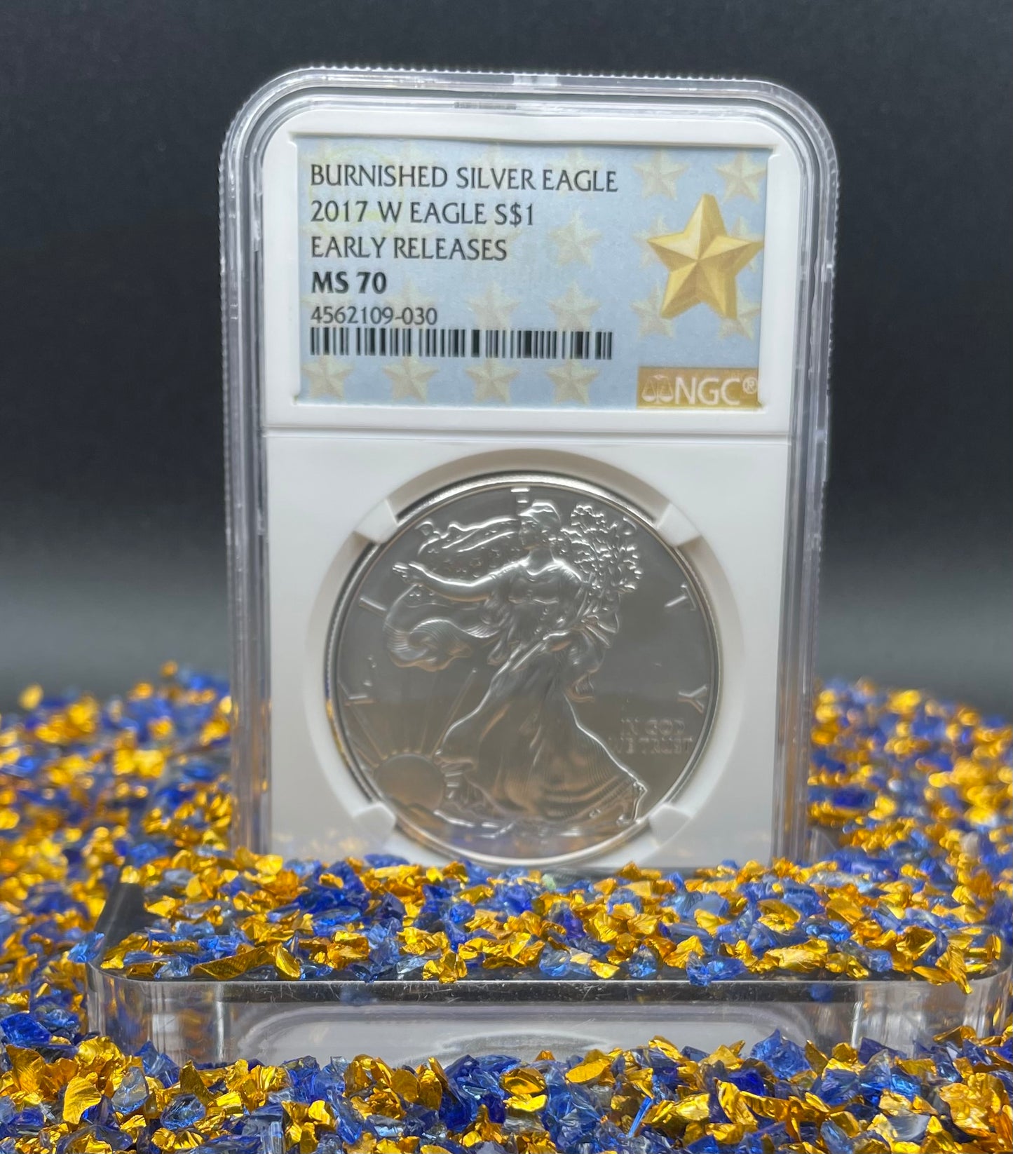 Burnished 2017 (W) $1 American Silver Eagle NGC MS70 Early Releases West Point Gold Star Label Mint Condition (1 of 4,466)