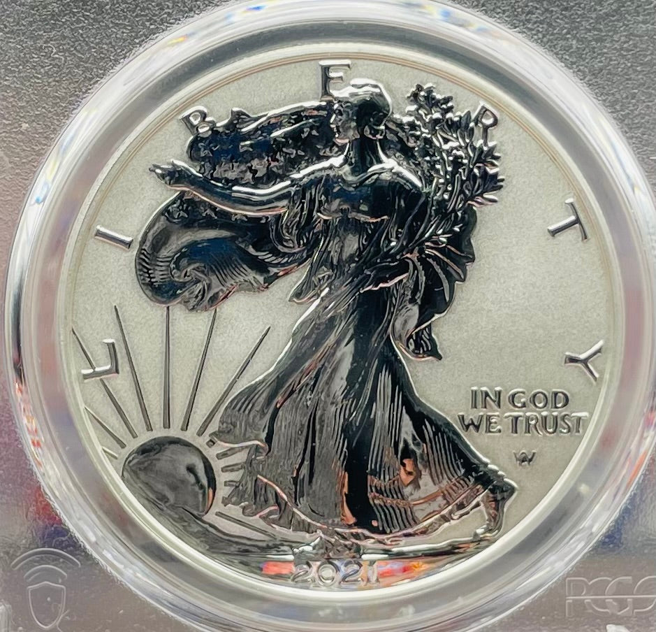 Reverse Proof 2021 Type 1 and Type 2 (2 Coin Set) $1 American Silver Eagle PCGS PF69 FDOI Designer Edition American Flag Holder Mint Condition