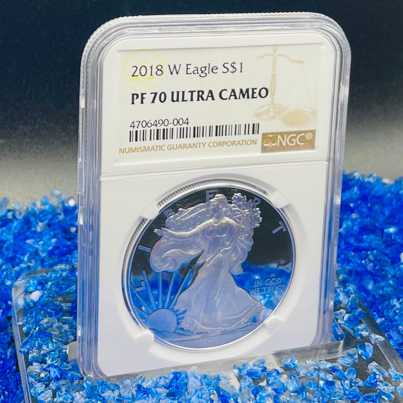 Proof 2018 (W) $1 American Silver Eagle NGC PF70 Modern Brown Label Mint Condition (1 of 5,493)