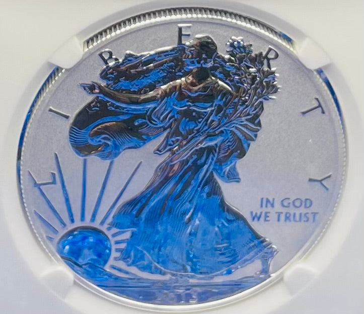 Reverse Proof & Enhanced Finish (2 Coin Set) 2013 (W) $1 American Silver Eagle NGC PF69 White Core Holder West Point Gold Star Label