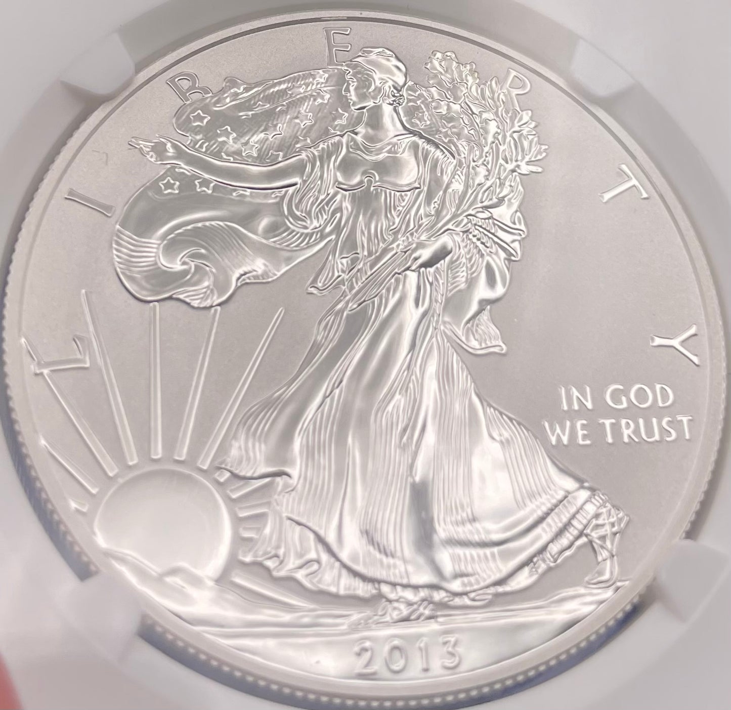 Reverse Proof & Enhanced Finish (2 Coin Set) 2013 (W) $1 American Silver Eagle NGC PF69 White Core Holder West Point Gold Star Label