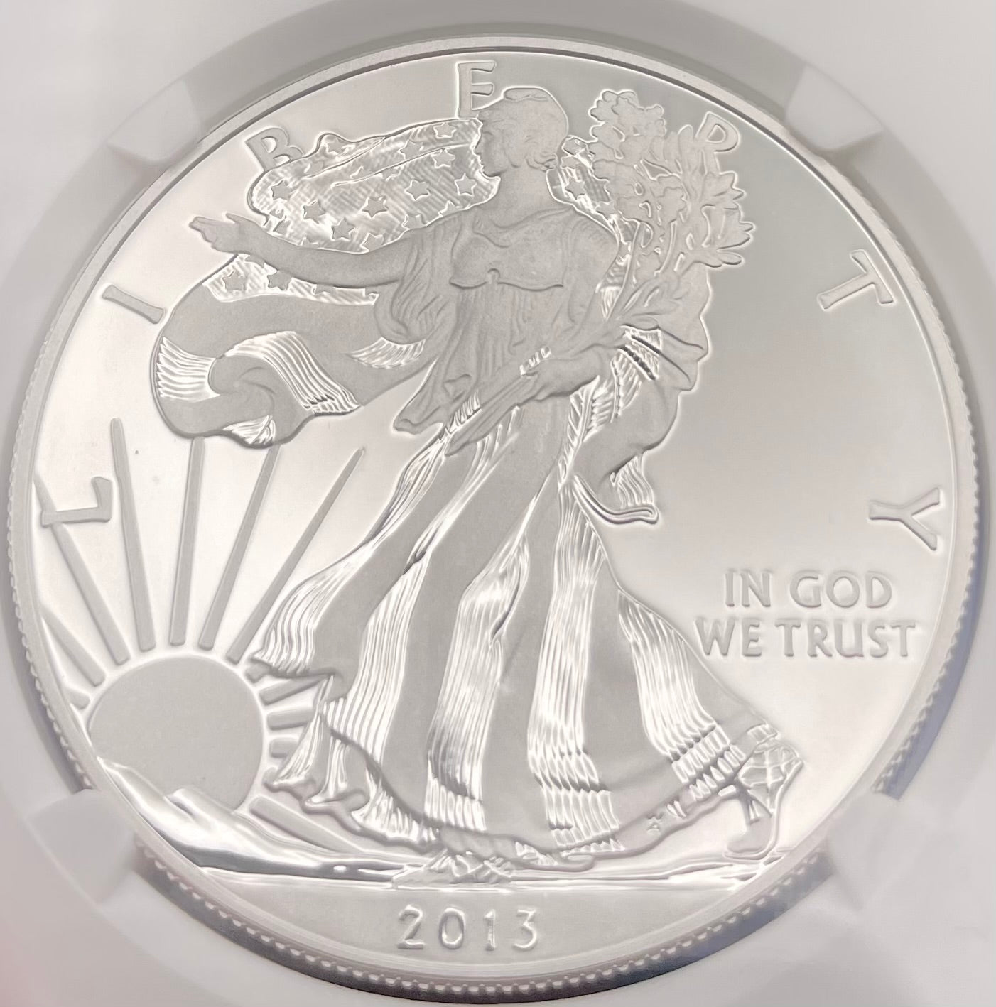 Reverse Proof & Enhanced Finish (2 Coin Set) 2013 (W) $1 American Silver Eagle NGC PF69 White Core Holder West Point Gold Star Label