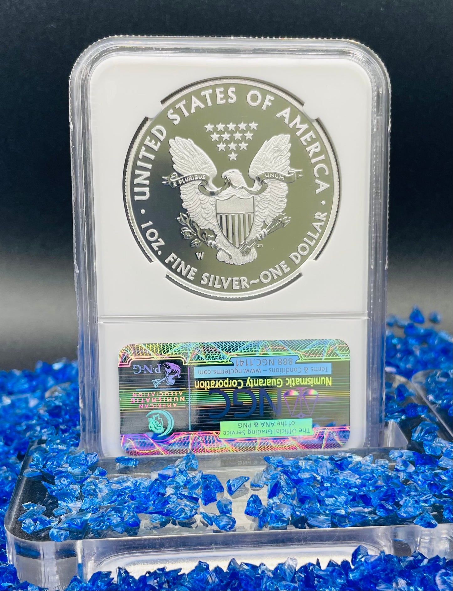 Reverse Proof & Enhanced Finish (2 Coin Set) 2013 (W) $1 American Silver Eagle NGC PF69 White Core Holder West Point Gold Star Label