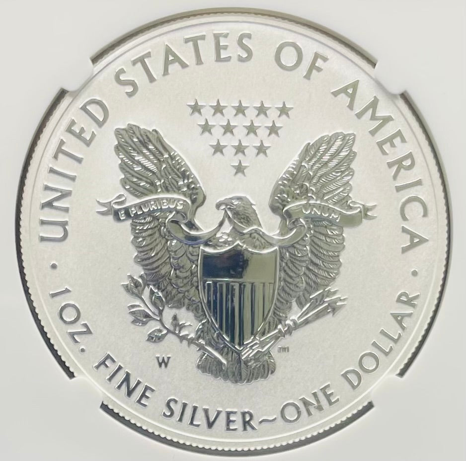 Reverse Proof & Enhanced Finish (2 Coin Set) 2013 (W) $1 American Silver Eagle NGC PF69 White Core Holder West Point Gold Star Label