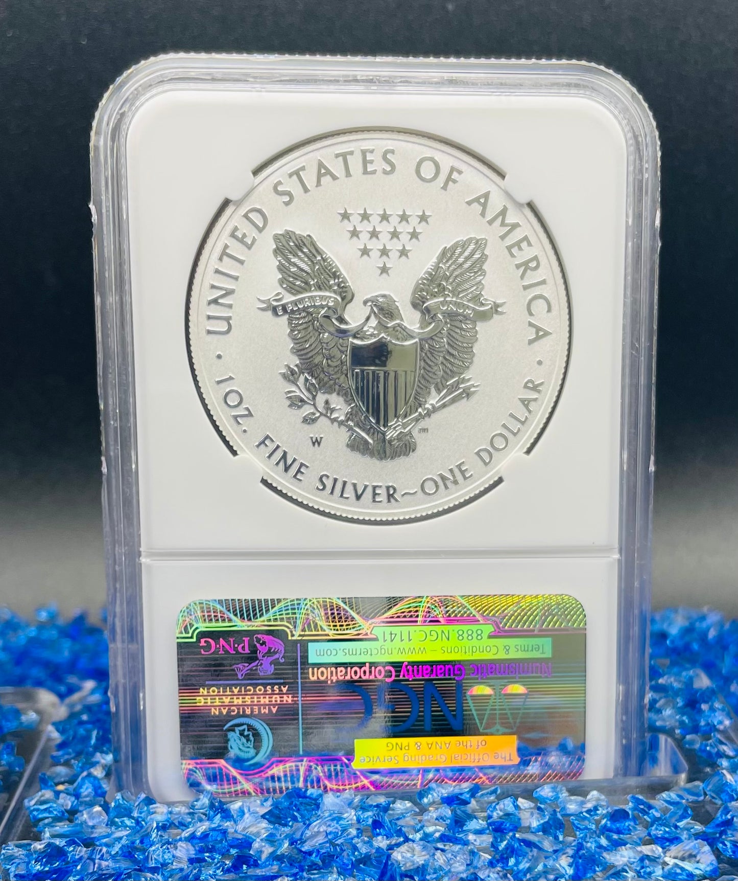 Reverse Proof & Enhanced Finish (2 Coin Set) 2013 (W) $1 American Silver Eagle NGC PF69 White Core Holder West Point Gold Star Label