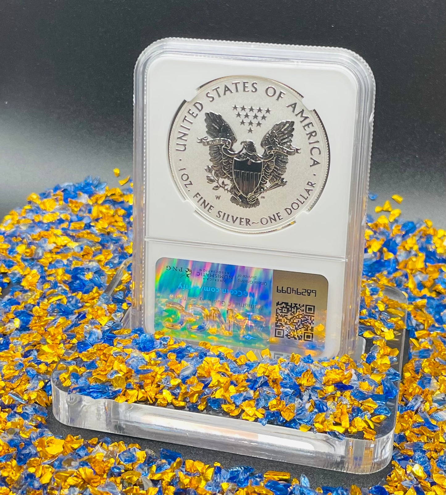 Reverse Proof 2013 (W) $1 American Silver Eagle NGC PF70 OFFICIAL US MINT SET Original West Point Gold Star Label Rare Mint Condition