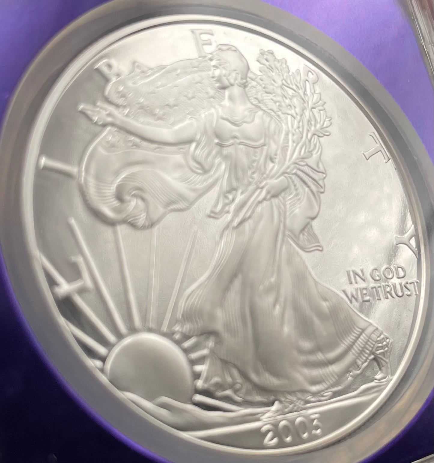 Proof 2003 (W) $1 American Silver Eagle NGC PF69 Trader Bea Private Issue Purple Foil New Holder Rare