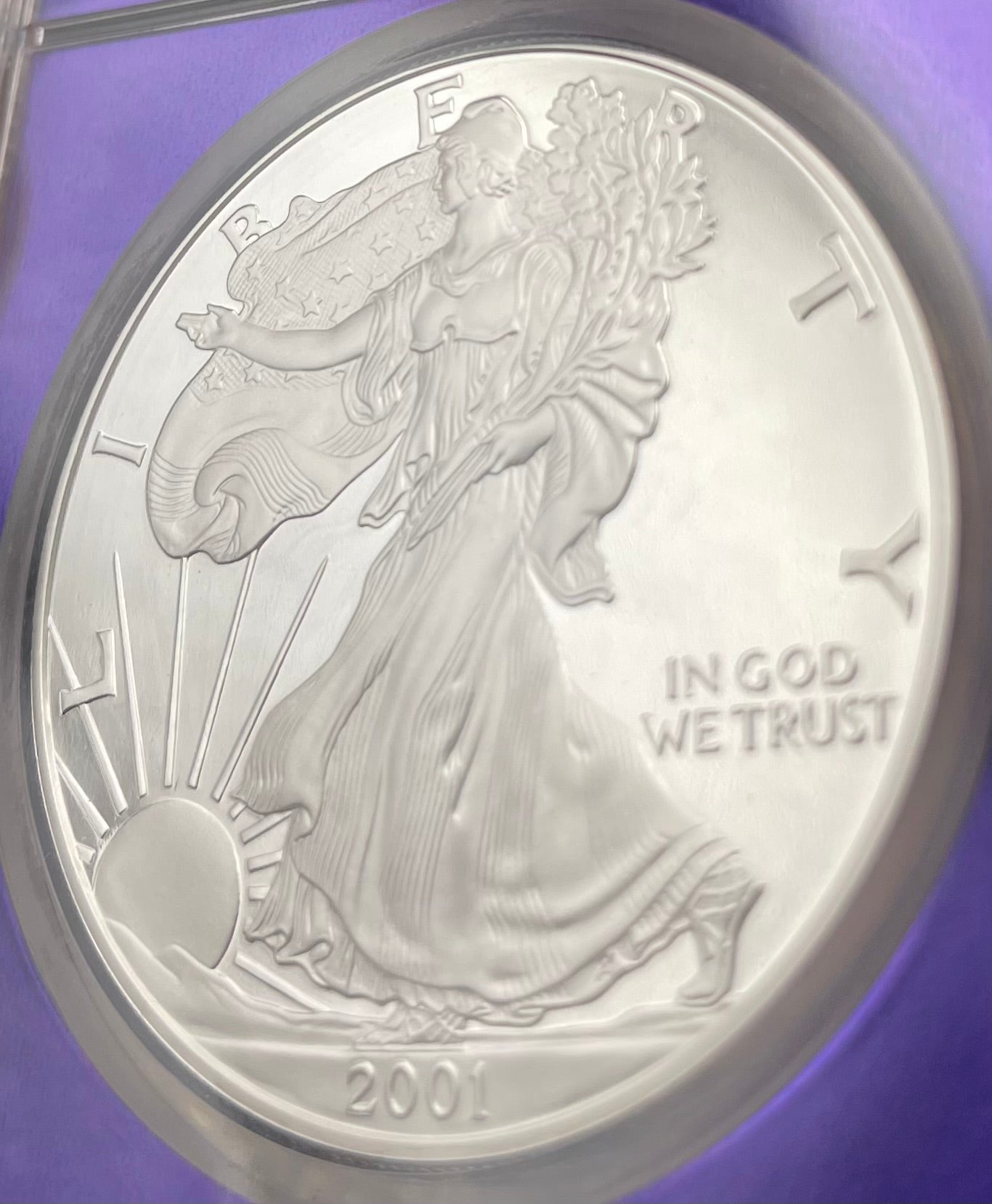 Proof 2001 (W) $1 American Silver Eagle NGC PF69 Trader Bea Private Issue Purple Foil Mint Condition Rare
