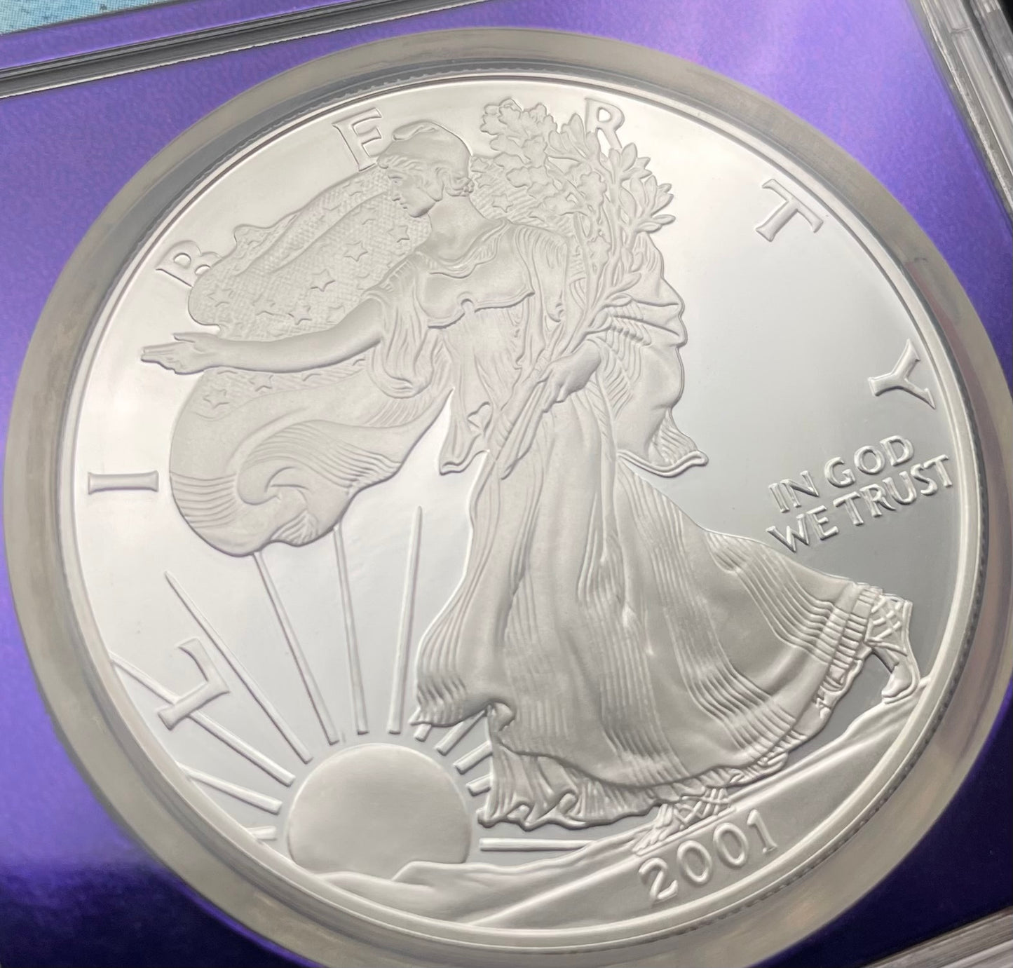 Proof 2001 (W) $1 American Silver Eagle NGC PF69 Trader Bea Private Issue Purple Foil Mint Condition Rare