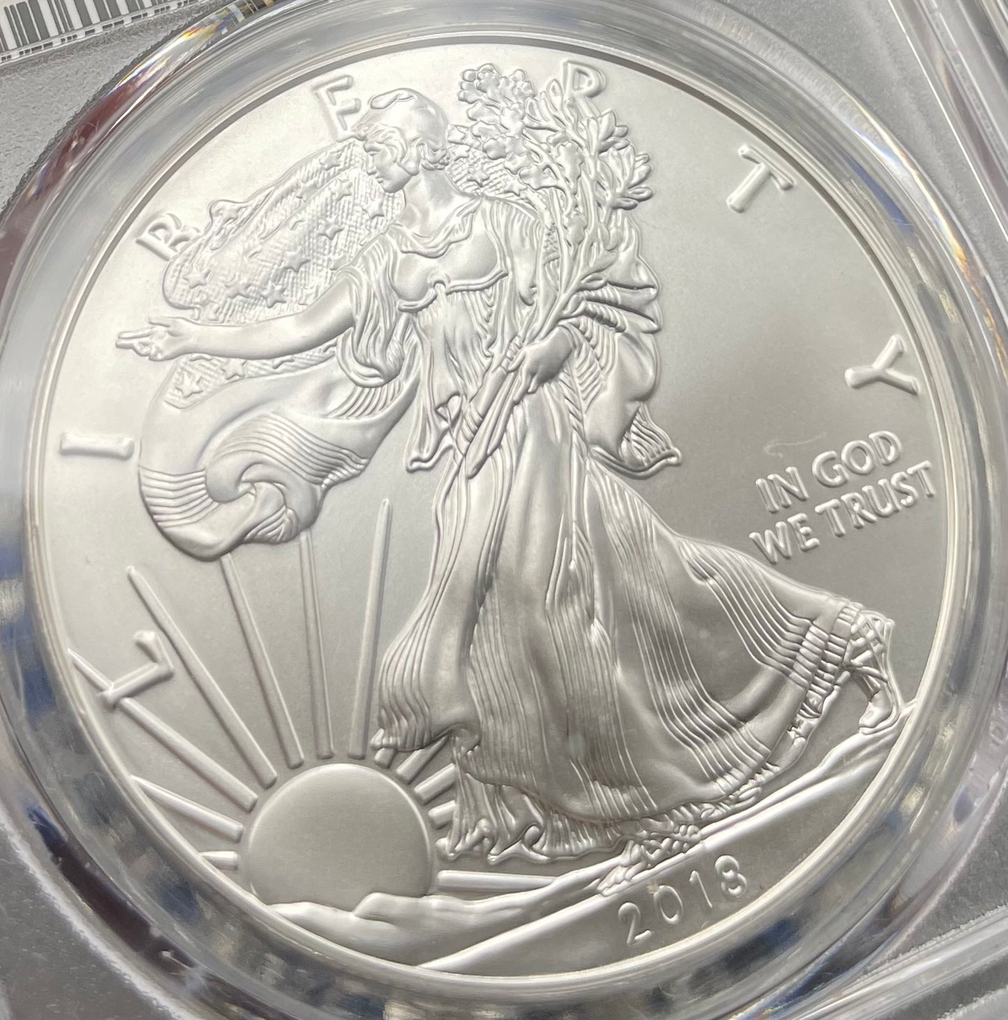 Burnished 2018 (W) $1 American Silver Eagle PCGS SP70 Early Issue Rare Blue Label (1 of 3,774)