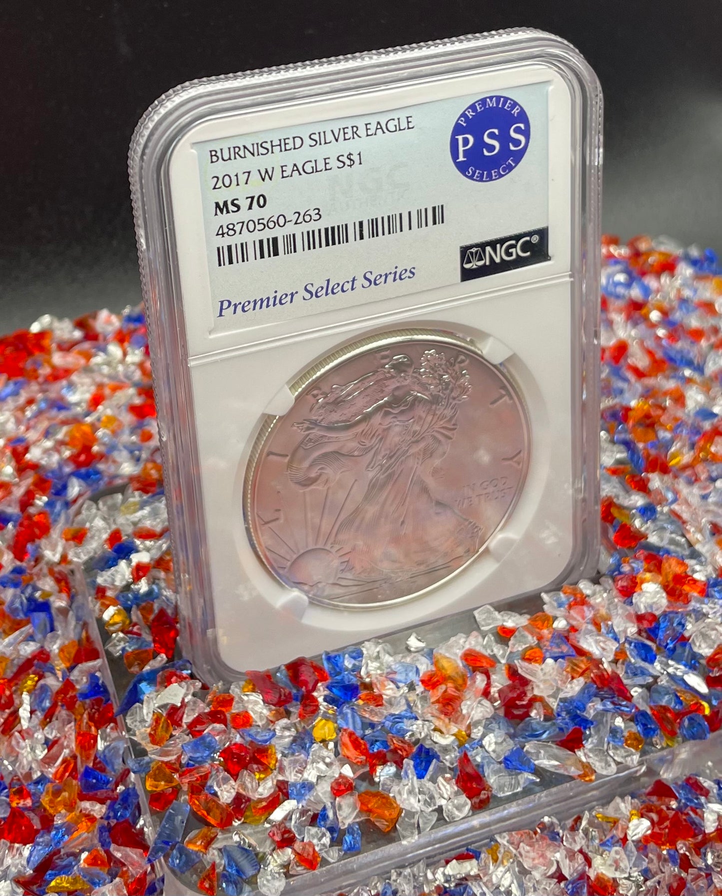 Burnished 2017 (W) $1 American Silver Eagle NGC MS70 Rare Premier Select Series Label Mint Condition