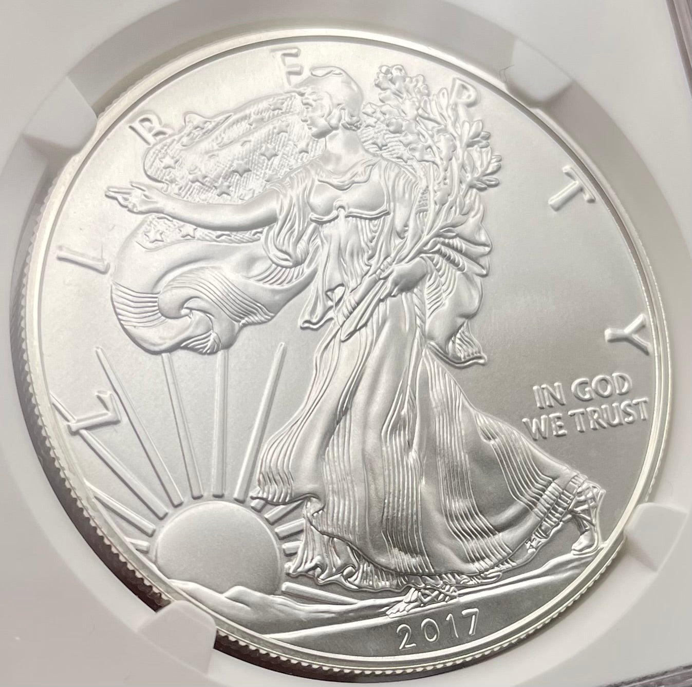 Burnished 2017 (W) $1 American Silver Eagle NGC MS70 Rare Premier Select Series Label Mint Condition