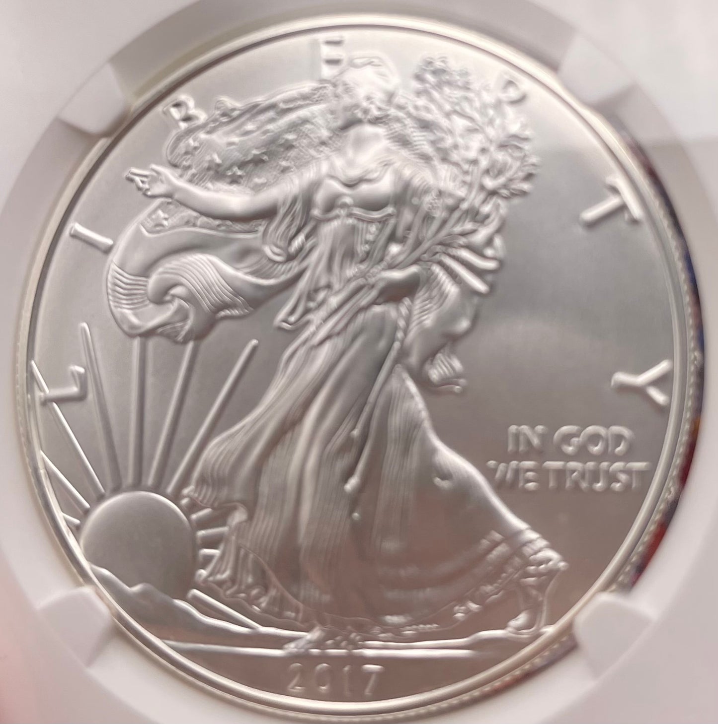 Burnished 2017 (W) $1 American Silver Eagle NGC MS70 Rare Premier Select Series Label Mint Condition