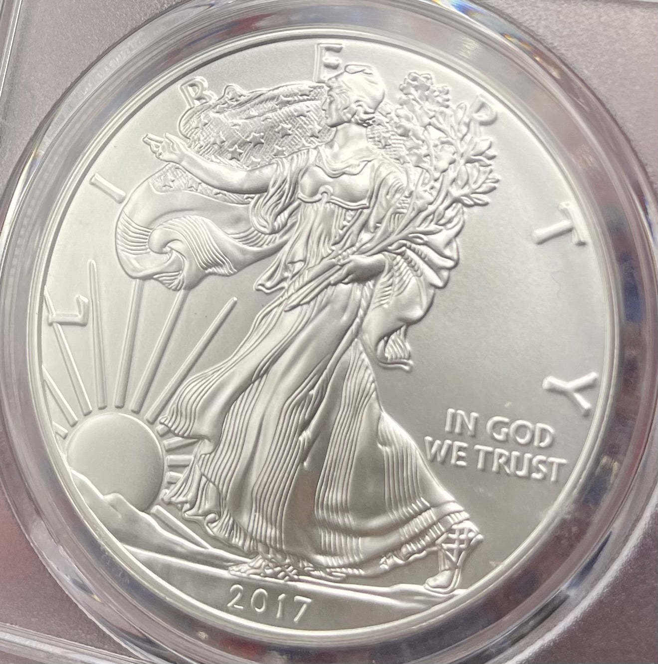 Burnished 2017 (W) $1 American Silver Eagle PCGS SP70 First Strike American Flag Label Mint Condition (1 of 4,869)