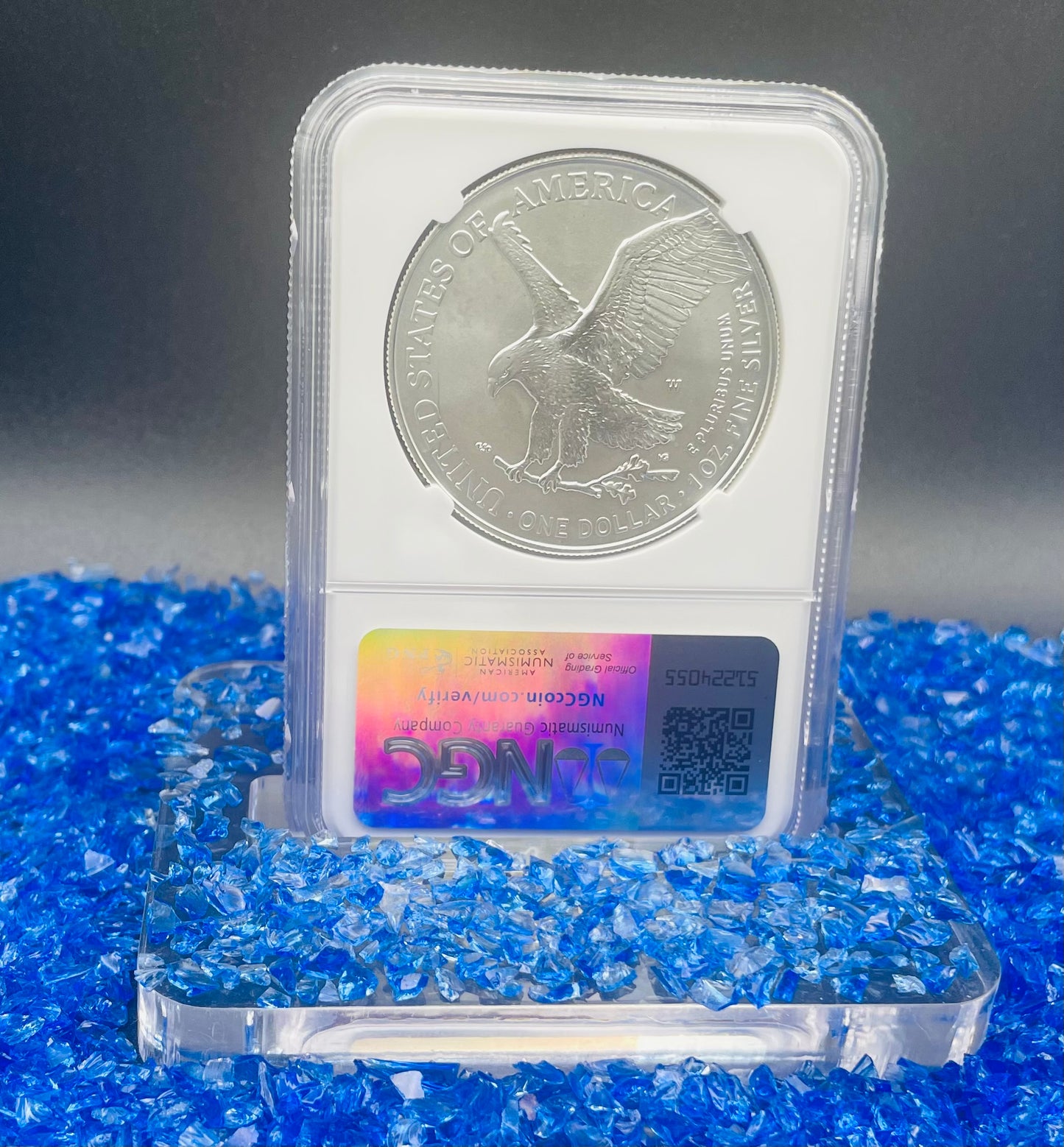 Burnished 2022 (W) $1 American Silver Eagle NGC MS70 Rare Silver Eagle Label