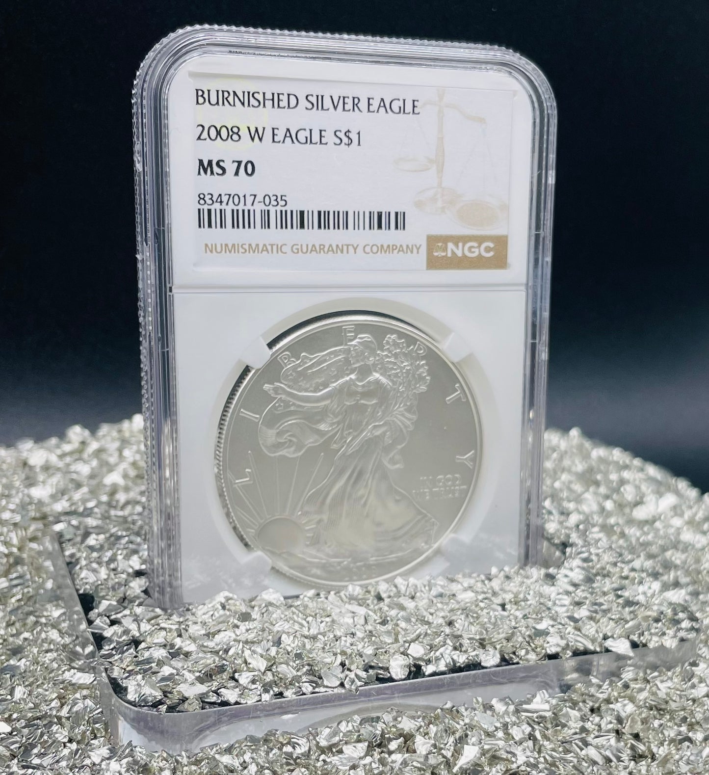 Burnished 2008 $1 (W) American Silver Eagle NGC MS70 Brown Label Mint Condition