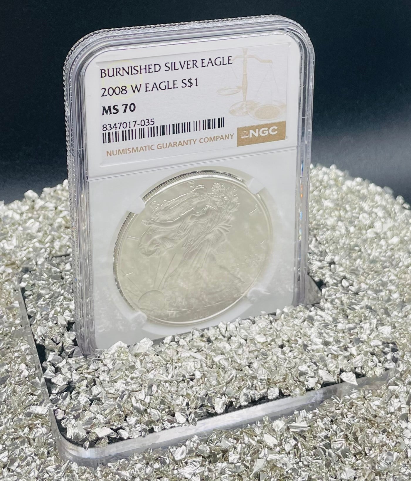 Burnished 2008 $1 (W) American Silver Eagle NGC MS70 Brown Label Mint Condition