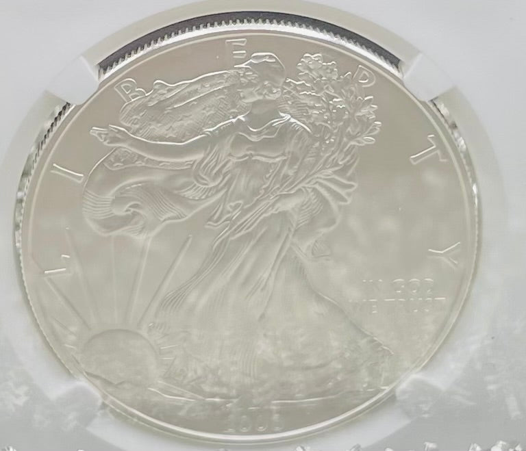 Burnished 2008 $1 (W) American Silver Eagle NGC MS70 Brown Label Mint Condition