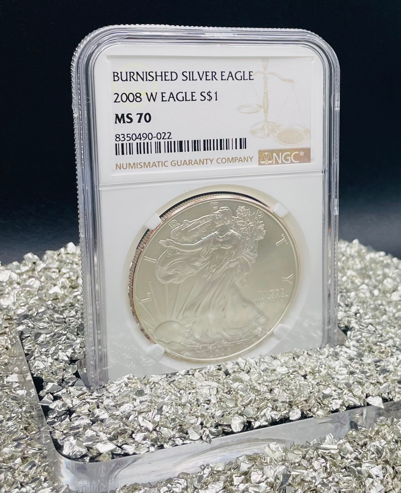 Burnished 2008 $1 (W) American Silver Eagle NGC MS70 Brown Label Mint Condition