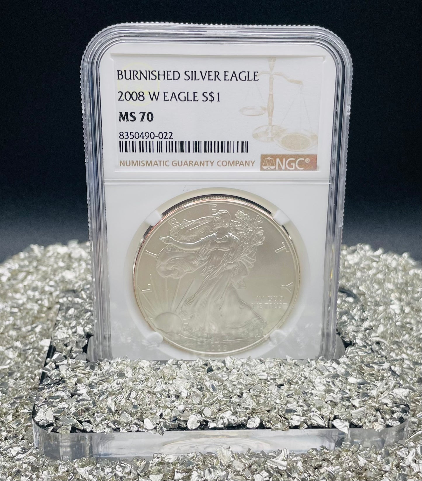 Burnished 2008 $1 (W) American Silver Eagle NGC MS70 Brown Label Mint Condition