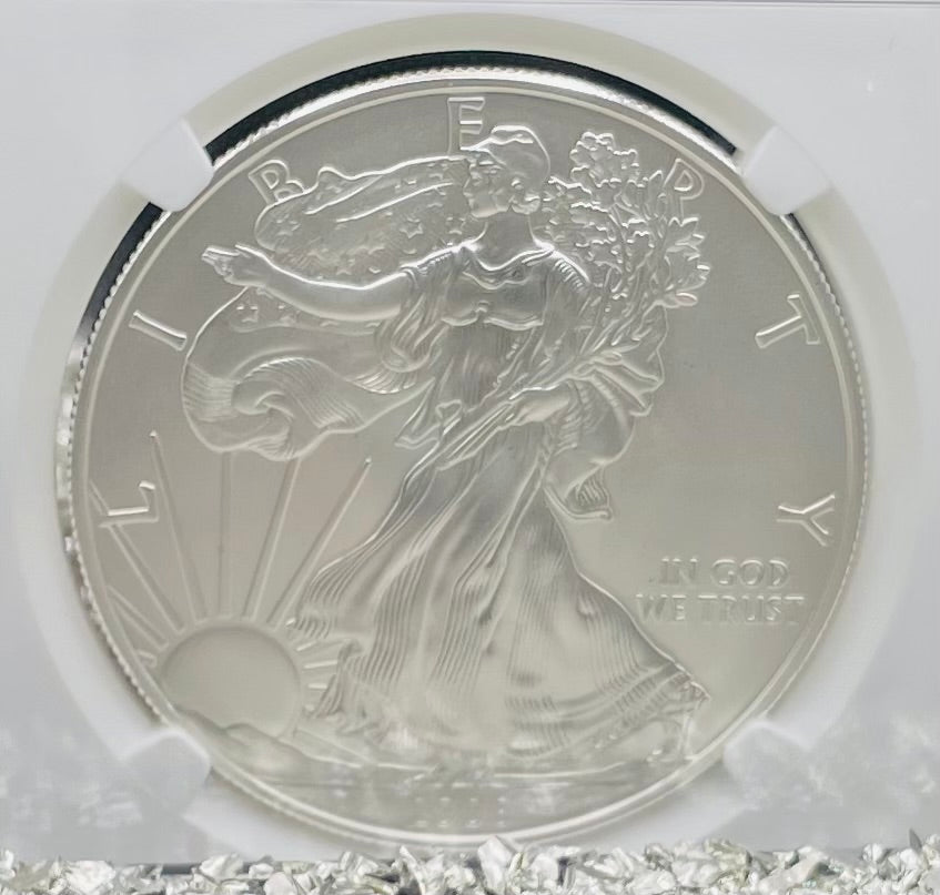 Burnished 2008 $1 (W) American Silver Eagle NGC MS70 Brown Label Mint Condition