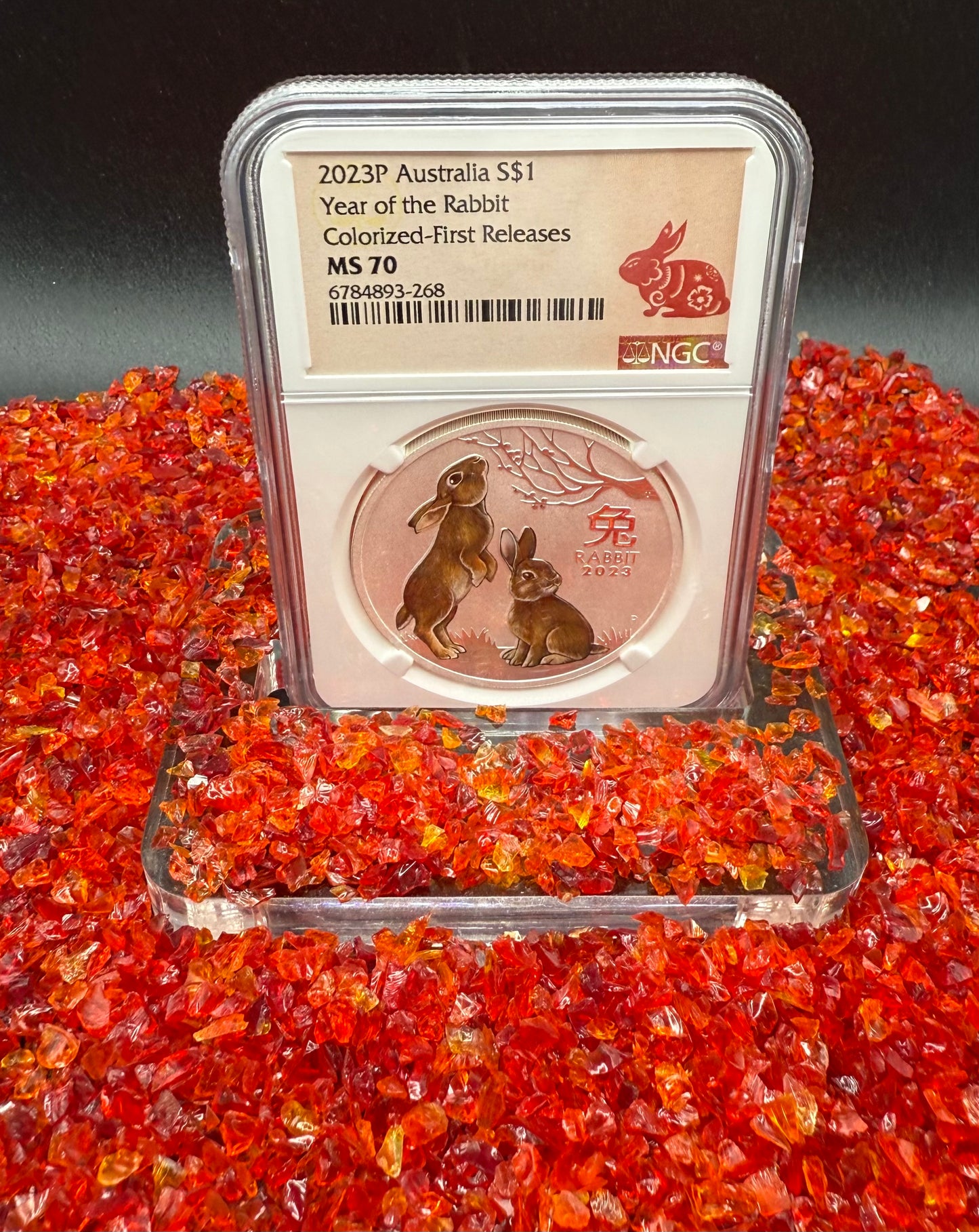2023 P Silver $1 Australia Lunar Series III Year of the Rabbit Colorized Brown NGC MS70 First Releases Red Lunar Label New Holder Mint Condition (1 of 311)