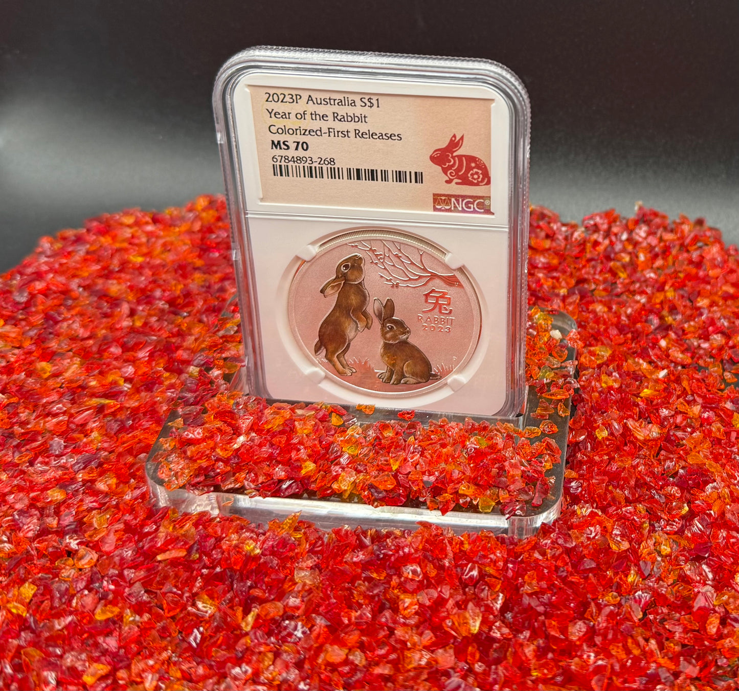 2023 P Silver $1 Australia Lunar Series III Year of the Rabbit Colorized Brown NGC MS70 First Releases Red Lunar Label New Holder Mint Condition (1 of 311)