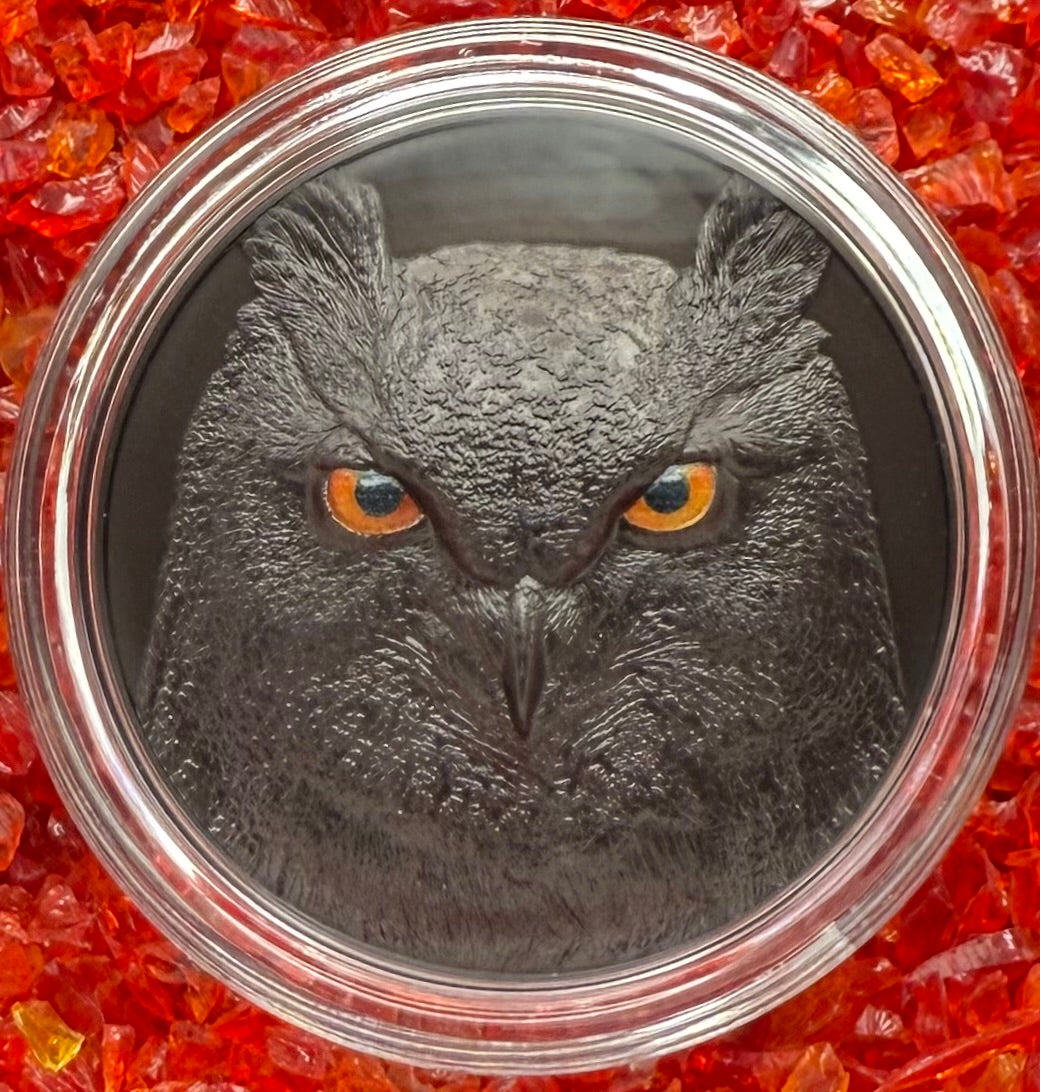 Proof 2021 $10 Palau Eagle Owl Hunters by Night 2 Ounce Silver .999 Obsidian Black Ultra High Relief Coin Rare 1 of 888 CIT Includes COA & Display Case