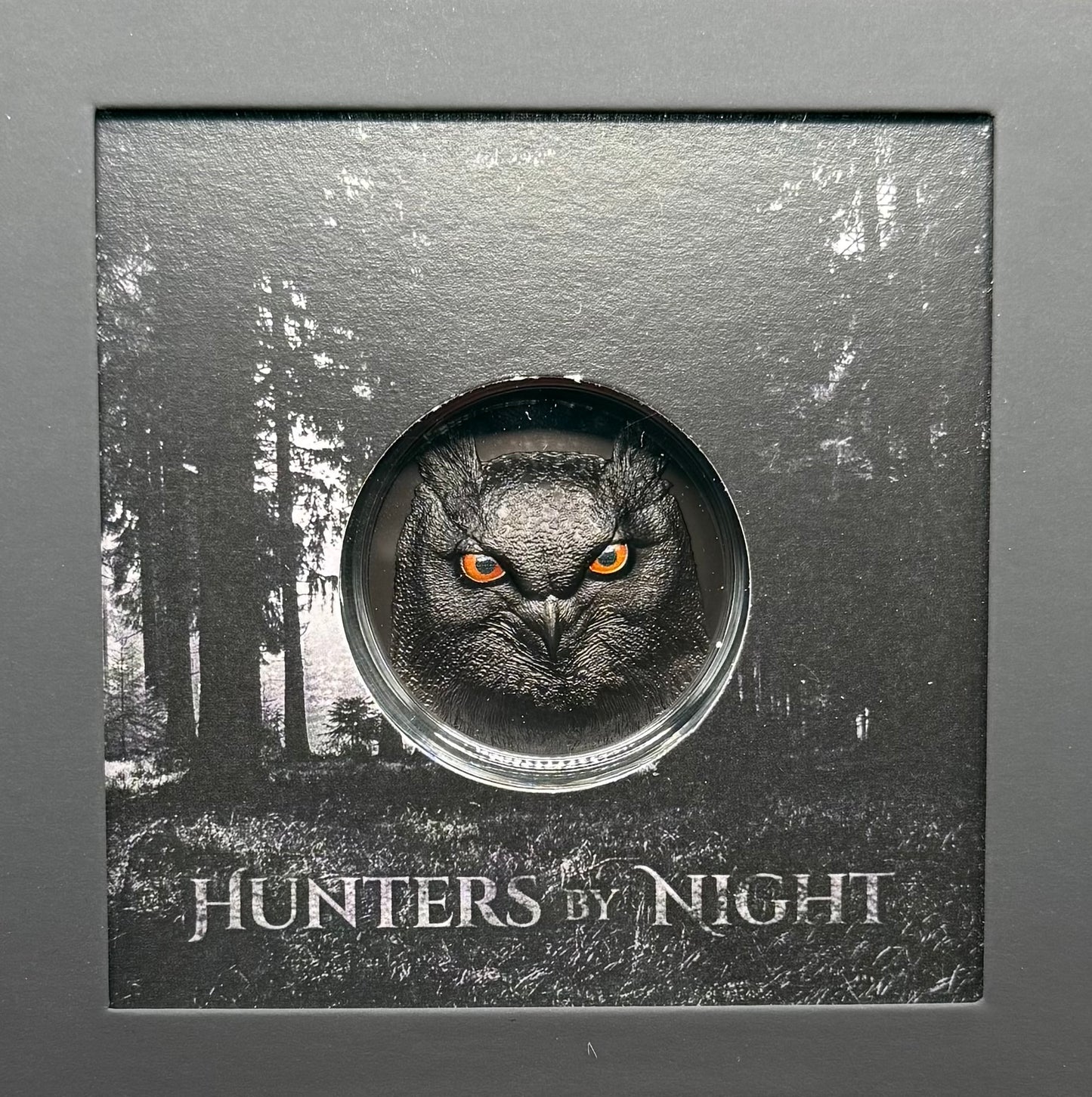 Proof 2021 $10 Palau Eagle Owl Hunters by Night 2 Ounce Silver .999 Obsidian Black Ultra High Relief Coin Rare 1 of 888 CIT Includes COA & Display Case