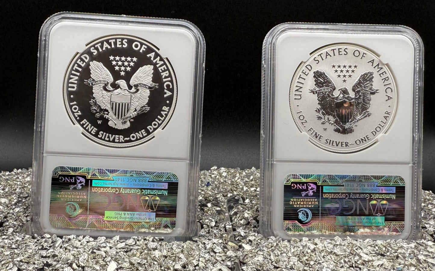 Reverse Proof & Enhanced Finish (2 Coin Set) 2013 (W) $1 American Silver Eagle NGC PF70 White Core Holder Classic Brown Label