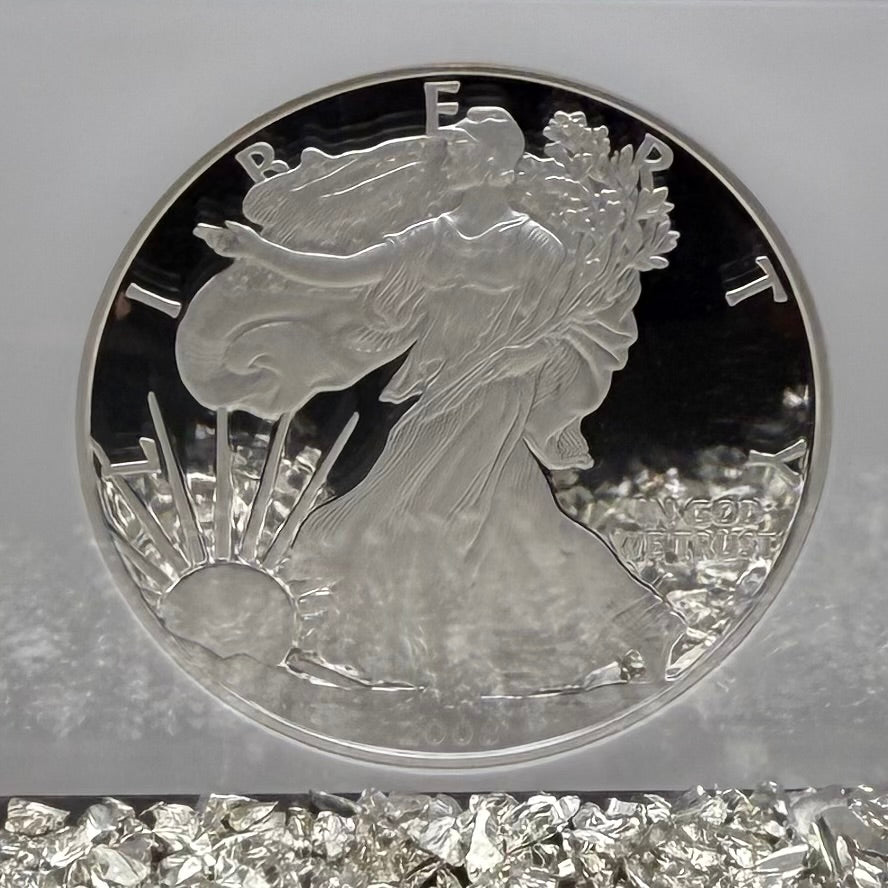 Proof 2008 (W) $1 American Silver Eagle NGC PF70UC Classic Brown Label (1 of 15,136)