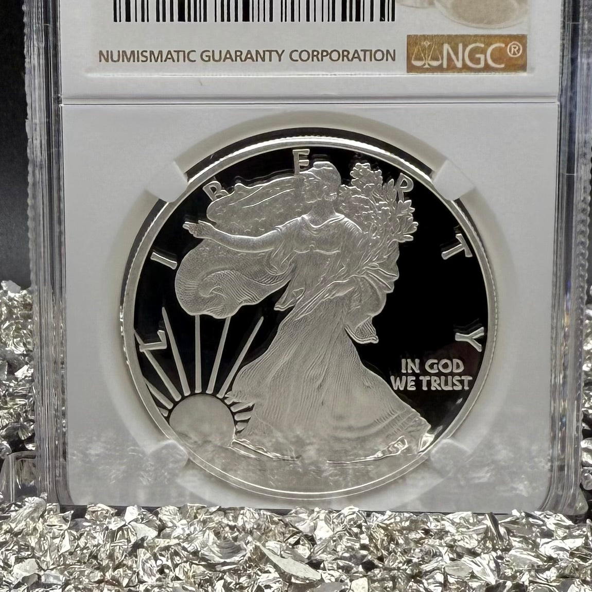 Proof 2011 (W) $1 American Silver Eagle NGC PF70UC 25th Anniversary Modern Brown Label Mint (1 of 9,295)