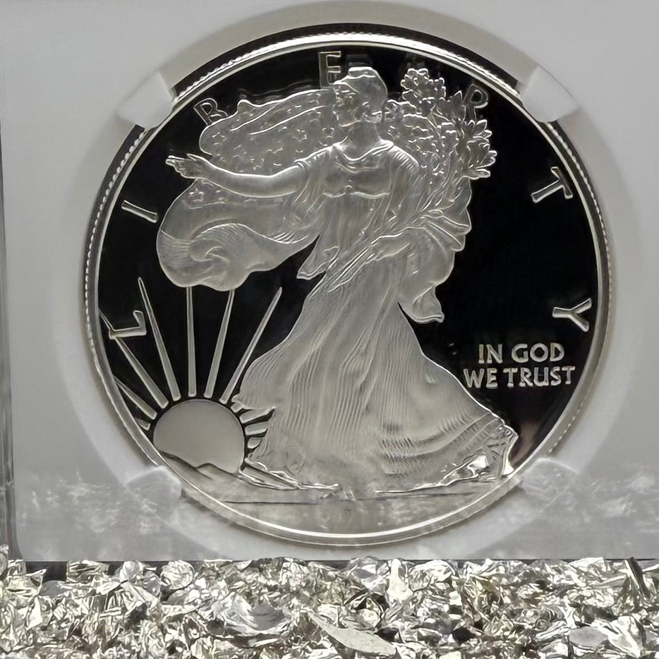 Proof 2019 (W) $1 American Silver Eagle NGC PF70UC Modern Brown Label White Holder (1 of 3,491)