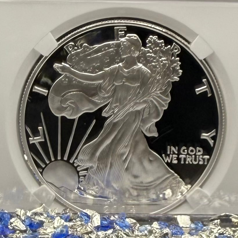 Proof 2004 (W) $1 American Silver Eagle NGC PF70UC Modern Brown Label (1 of 12,325)